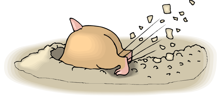 My Secret Confession About KWL Charts